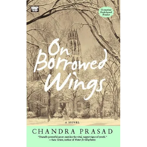 On Borrowed Wings - Paperback