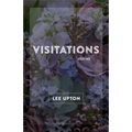 Visitations: Stories - Hardcover