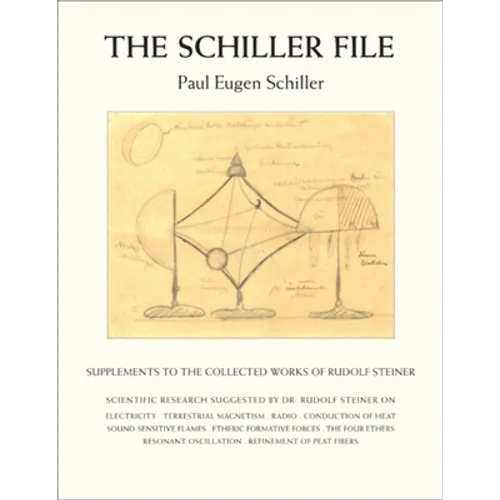 The Schiller File: Supplements to the Collected Works of Rudolf Steiner - Paperback