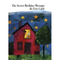 The Secret Birthday Message - Paperback