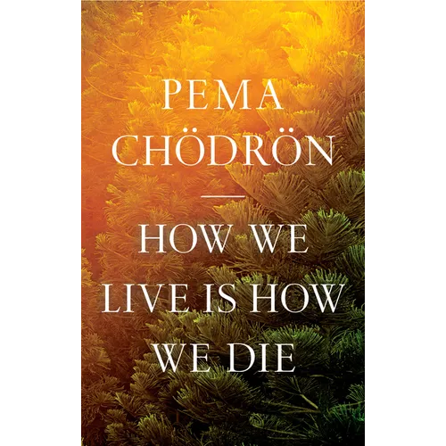 How We Live Is How We Die - Hardcover