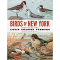 Birds of New York: Over 100 Plates - Paperback
