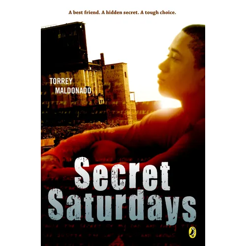 Secret Saturdays - Paperback