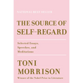 The Source of Self-Regard: Selected Essays, Speeches, and Meditations - Hardcover