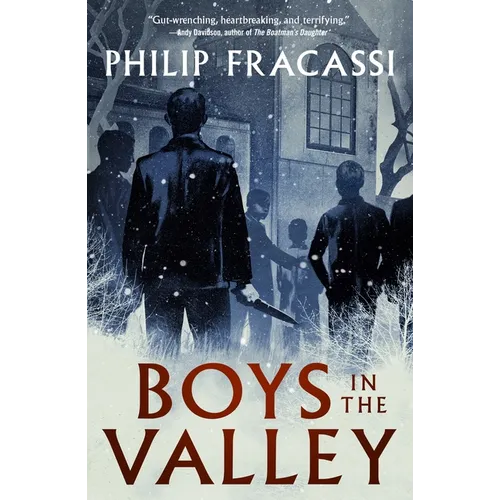 Boys in the Valley - Hardcover