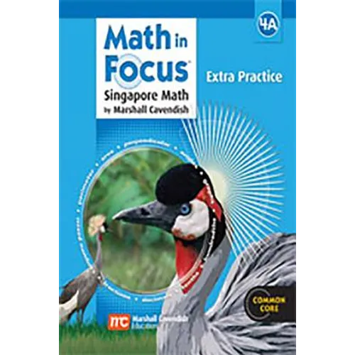 Extra Practice, Book a Grade 4 - Paperback