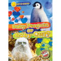 Baby Penguin or Baby Owl? - Library Binding