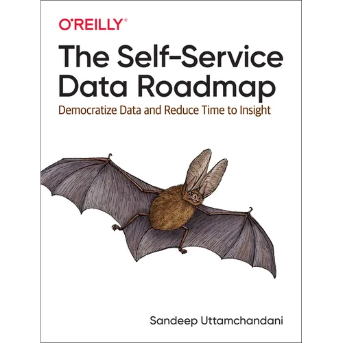 The Self-Service Data Roadmap: Democratize Data and Reduce Time to Insight - Paperback