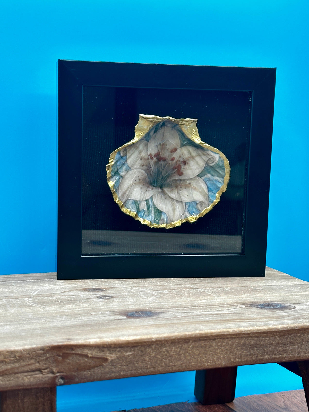 Decoupaged Scallop Shell Black Shadow Box Wall Art