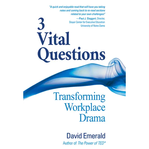 3 Vital Questions: Transforming Workplace Drama - Paperback