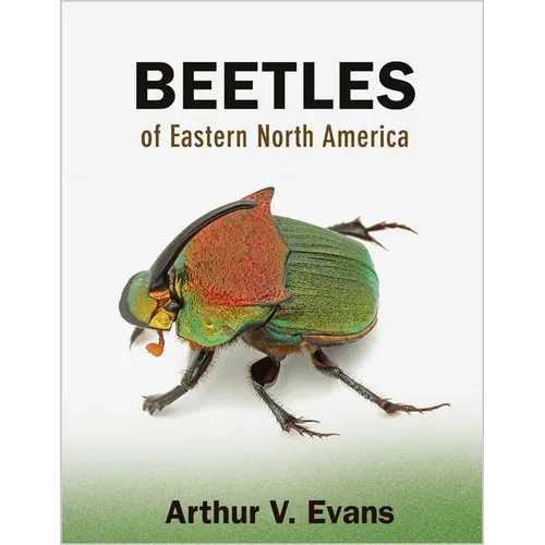 Beetles of Eastern North America - Paperback
