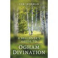 Beginner's Guide to Ogham Divination - Paperback
