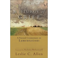 A Liturgy of Grief: A Pastoral Commentary on Lamentations - Paperback