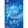 Lessons from Spirit - Paperback