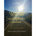 La Adicción de Mi Hijo, Dolor, Transformación Y Sanación - Paperback
