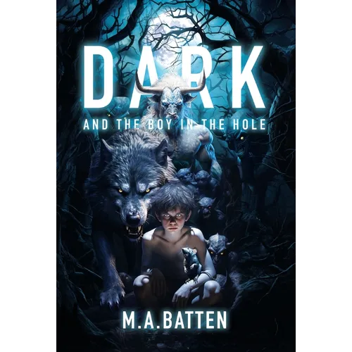 Dark: And the Boy in the Hole - Hardcover