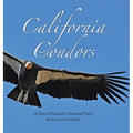 California Condors: A Day at Pinnacles National Park - Hardcover