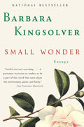 Small Wonder: Essays - Paperback
