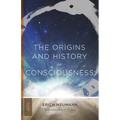 The Origins and History of Consciousness - Paperback