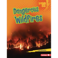 Dangerous Wildfires - Library Binding