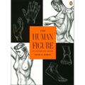 The Human Figure: An Anatomy for Artists - Paperback