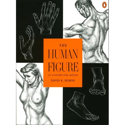 The Human Figure: An Anatomy for Artists - Paperback