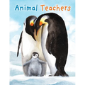 Animal Teachers - Paperback