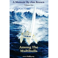 Among The Multihulls: Volume One - Paperback