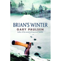 Brian's Winter - Hardcover