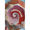 Conch Pearl - Paperback