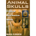 Animal Skulls - Paperback