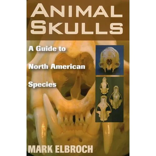 Animal Skulls - Paperback