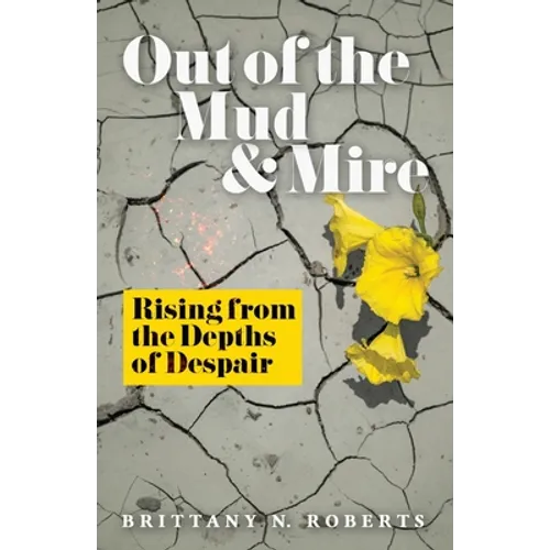 Out of the Mud and Mire: Rising from the Depths of Despair - Paperback