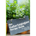 The Galactagogue Recipe Book - Paperback