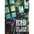 The Zoom Situation - Paperback