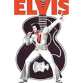 Rock and Roll Comics: Elvis Presley Experience: Special Hard Cover Edition - Hardcover