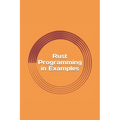 Rust Programming in Examples: Beginners Guide - Paperback