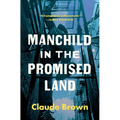 Manchild in the Promised Land - Paperback