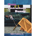 Noam Catch an Easter Bunny - Hardcover