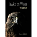 Hawks on Wires: Poems, 2005-2010 - Paperback