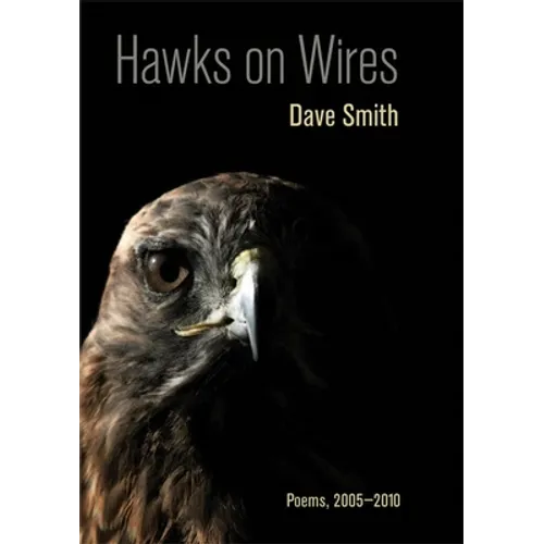 Hawks on Wires: Poems, 2005-2010 - Paperback
