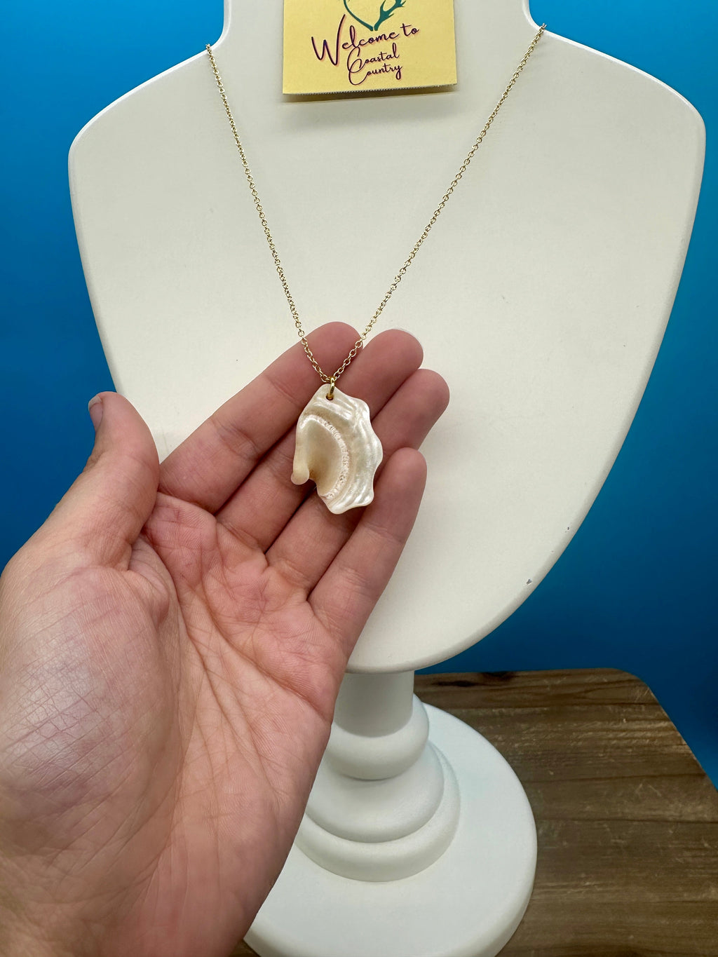 Astrea Undosa Shell Necklace