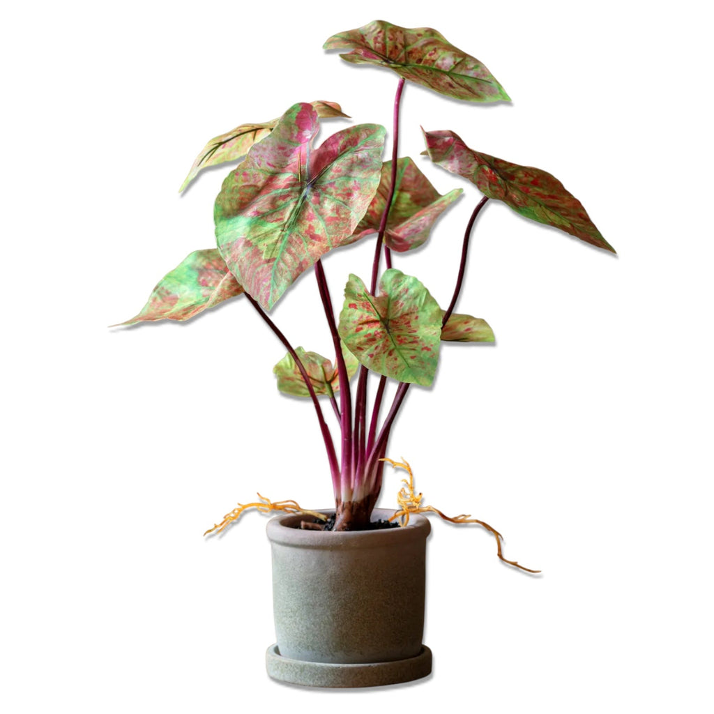 Faux Potted Caladium Plant