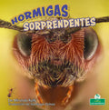 Hormigas Sorprendentes (Amazing Ants) - Paperback