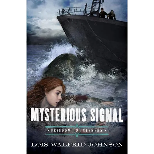 Mysterious Signal: Volume 5 - Paperback