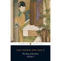 The Story of the Stone, Volume V: The Dreamer Wakes, Chapters 99-120 - Paperback