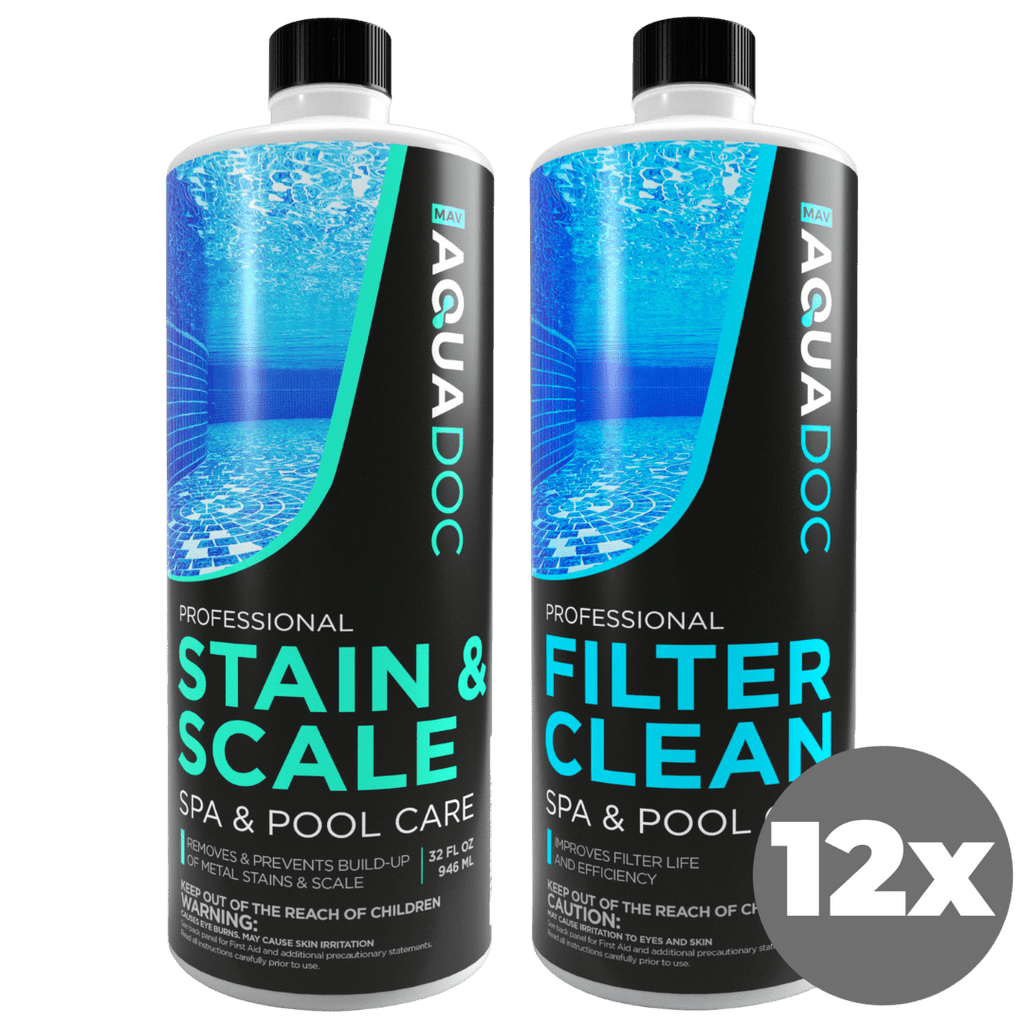 Pool Filter Clean & Stain and Scale Combo