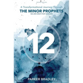 The Twelve: A Transformational Journey Through The Minor Prophets - Paperback