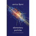 Elementary Particles - Paperback