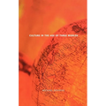 Culture in the Age of Three Worlds - Paperback